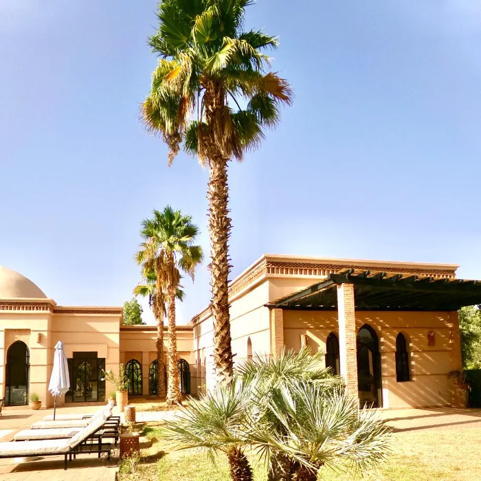 WhatsApp Image 2025-09-13 at 13.12.24 (19)