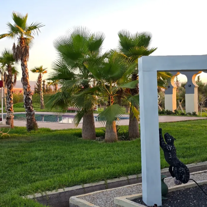 WhatsApp Image 2025-09-22 at 19.18.25